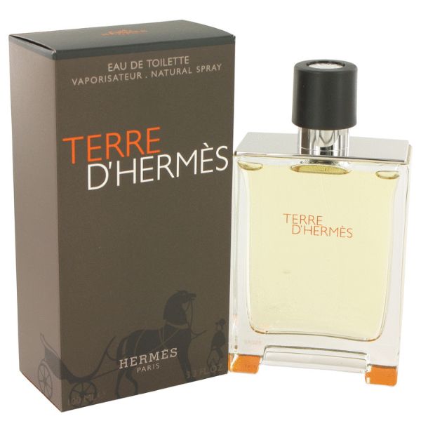 Hermes Terre D`Hermes EDT M 100ml (Tester)