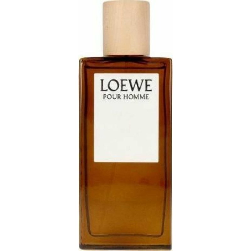 Loewe Pour Homme M EDT 100 ml - (Tester) 