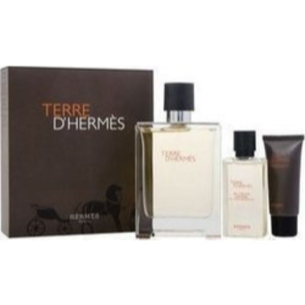 Hermes Terre D`Hermes M Set / EDT 100ml / after shave balm 40ml / shower gel 40ml