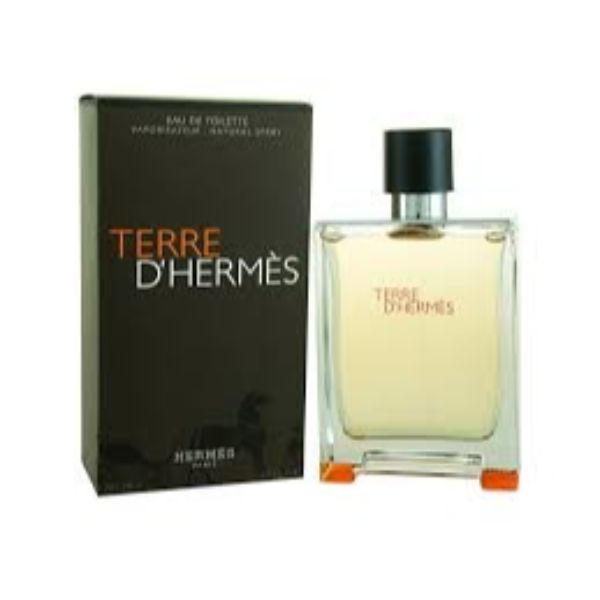 Hermes Terre D`Hermes EDT M 100ml