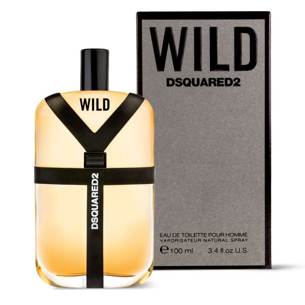 DsQuared2 Wild EDT M 100ml (Tester)
